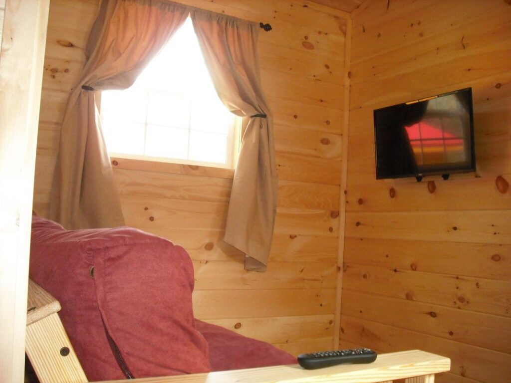 Real McCoy Cabins inside with TV