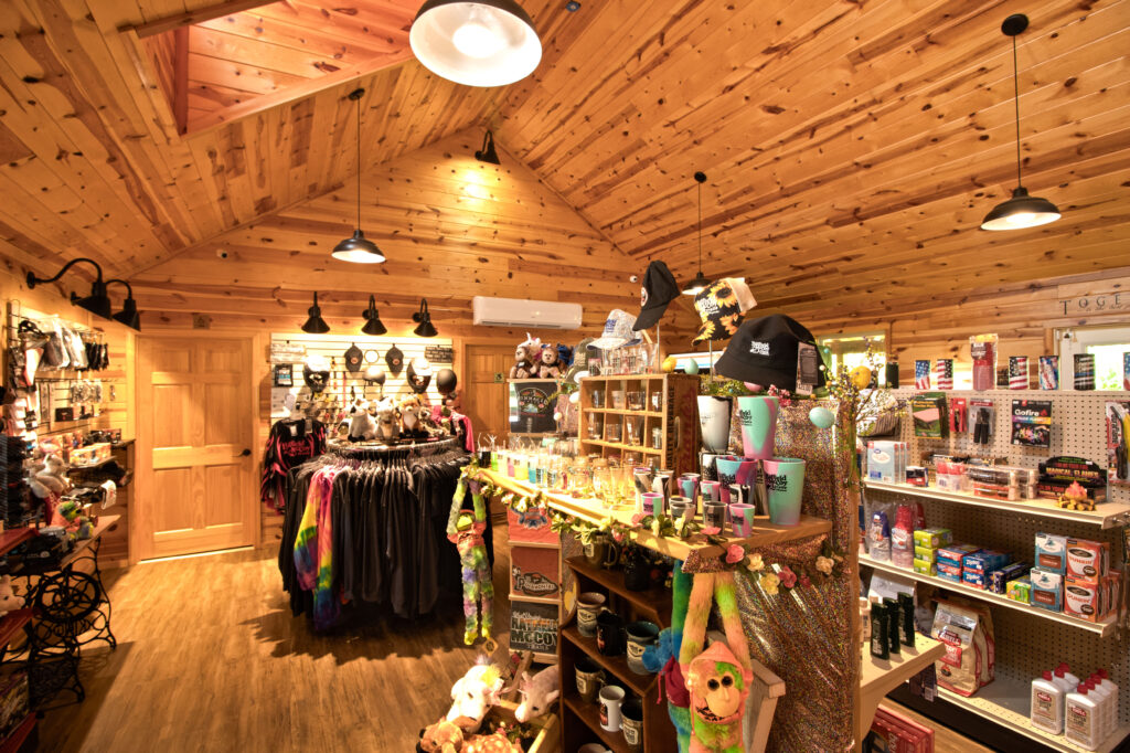 Store Items for purchase